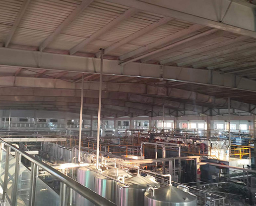 广西壮族自治区玉林市燕京啤酒（玉林）厂区钢结构加固