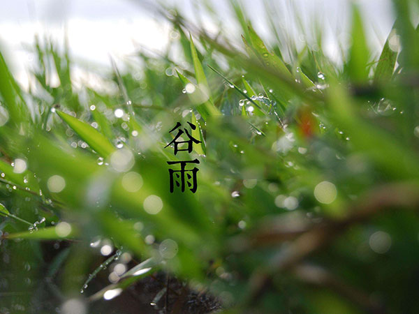 青岛加固公司